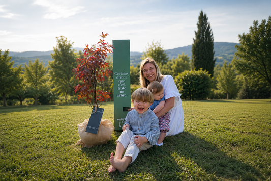 arbre de naissance