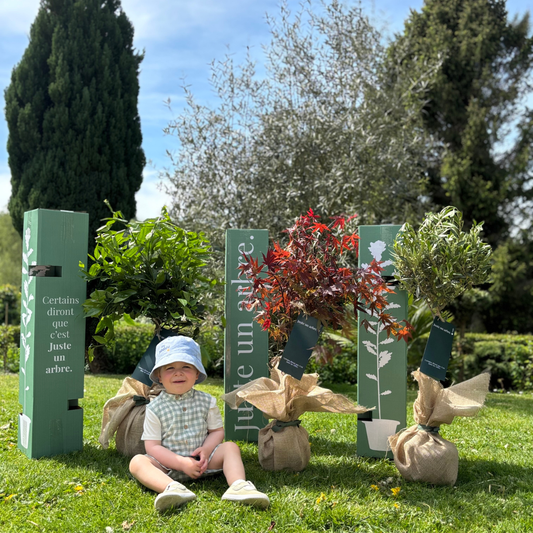 Arbre a planter Cadeau arbre naissance 