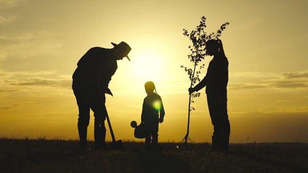 idée cadeau retraite arbre à planter