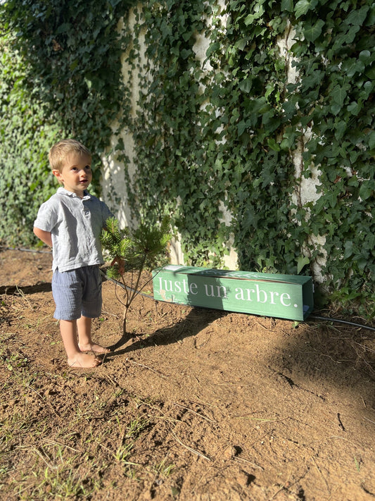 Juste un arbre - Petit garçon a côté d'un jeune pin sylvestre 