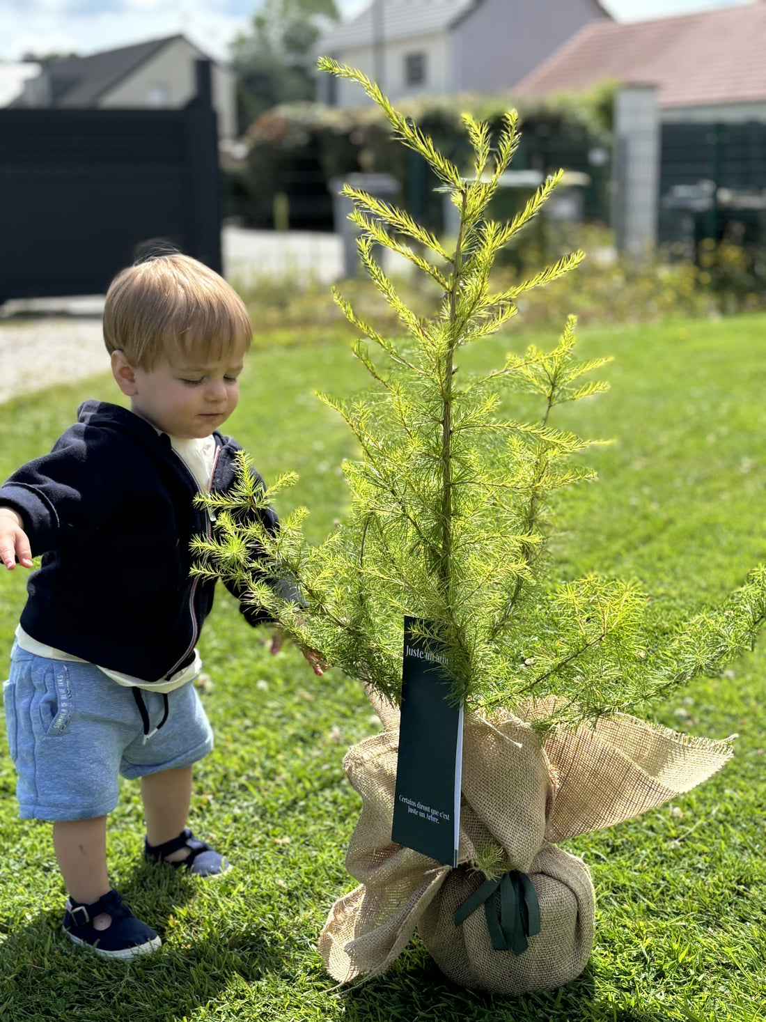 Enfant plantant un arbre jeune dans un jardin, symbole de croissance, d’avenir et d’engagement écologique – Offrir un arbre pour une naissance ou un cadeau durable.