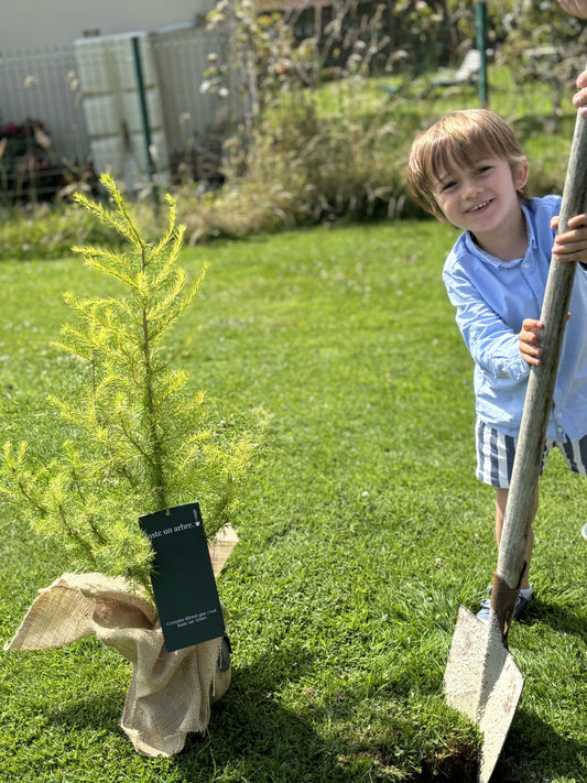 Enfant qui plante un arbre offert en cadeau de naissance 