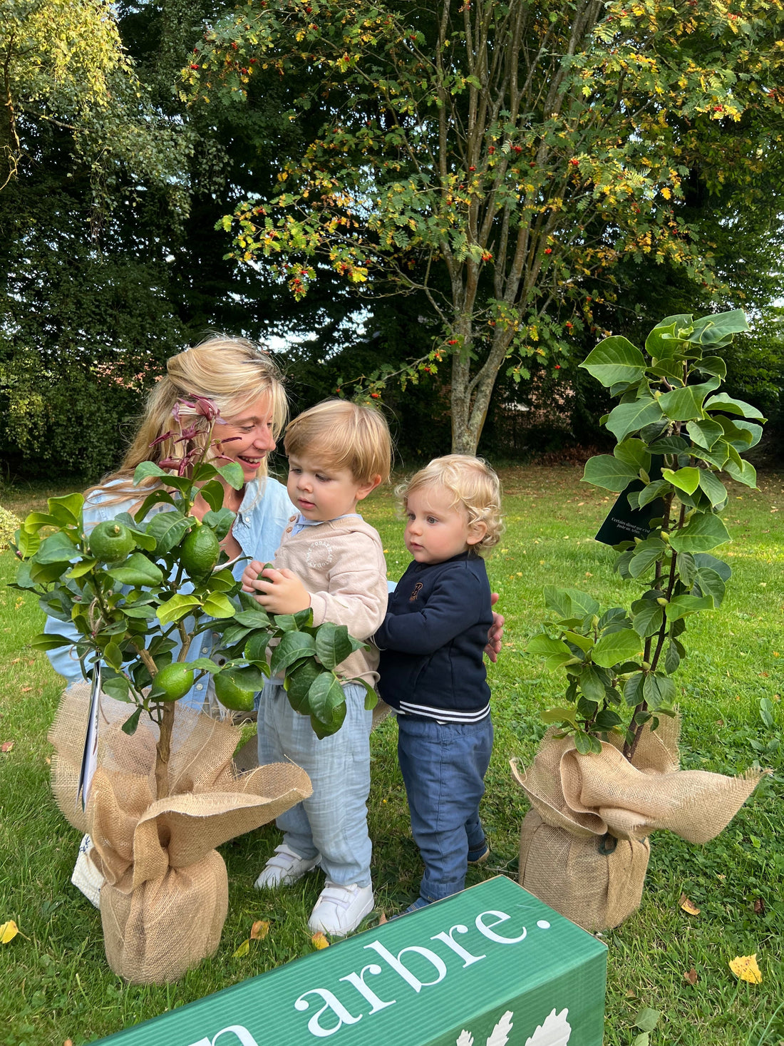 “Offrir un arbre en cadeau symbolique plutôt qu’un bouquet de fleurs pour un événement marquant”