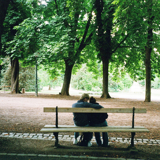 arbre-de-vie-offrir-un-arbre