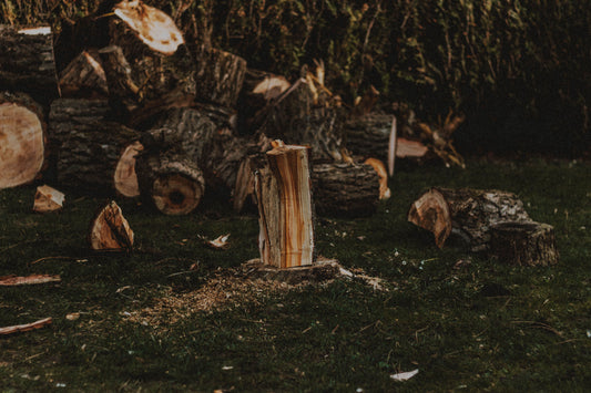 arbre-coupé-idées cadeaux 