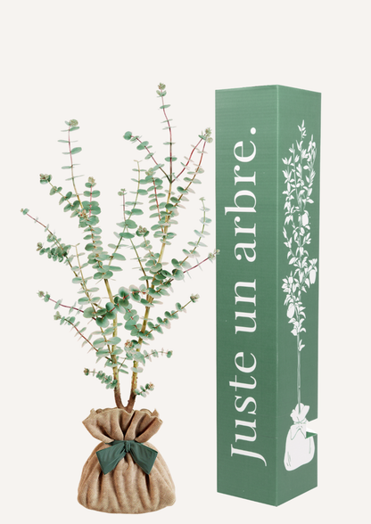 Idée cadeau naissance