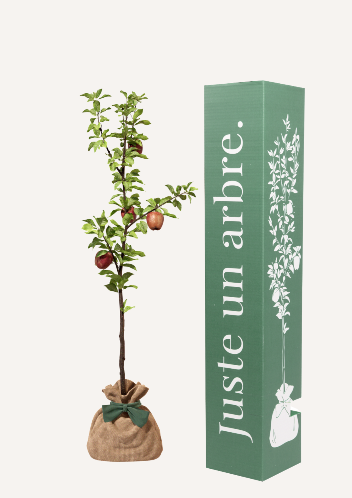 Offrir un pommier – un cadeau vivant qui remplace les fleurs